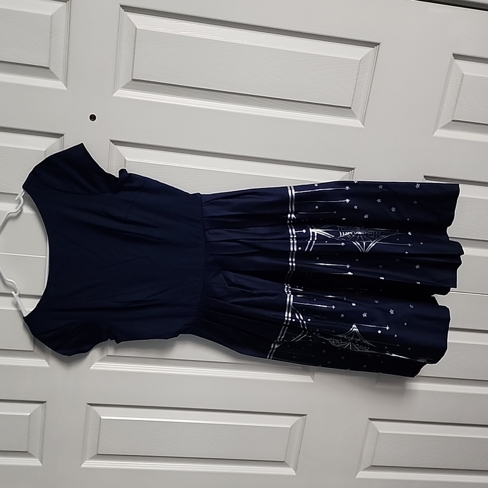 Pinup Girl Clothing Spider Swing Dress